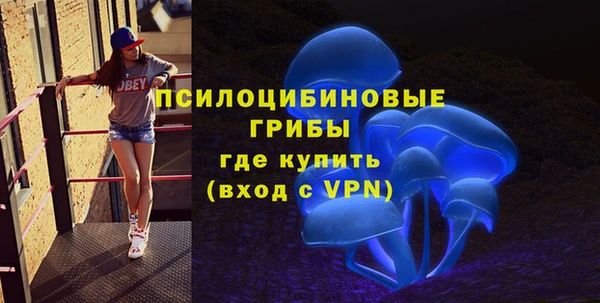 бутират Ельня
